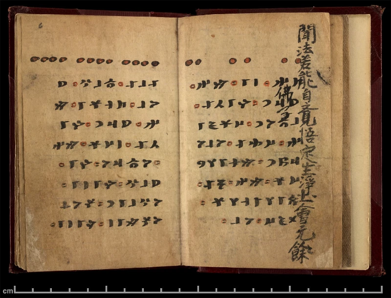 Irk Bitig: The Book of Omens