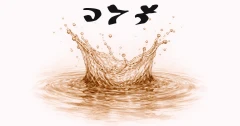 𐰽𐰆𐰉 (sub)